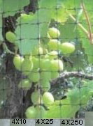 siatka do winogron p ptakom