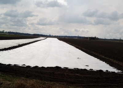 agrowłóknina okrywowa wiosenna