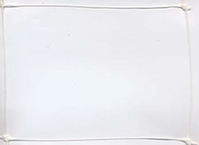 siatka do podtrzymywania roślin